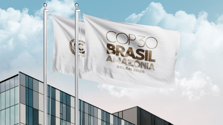 Argentina llega a la COP30 con bajo perfil y sin&nbsp;certezas